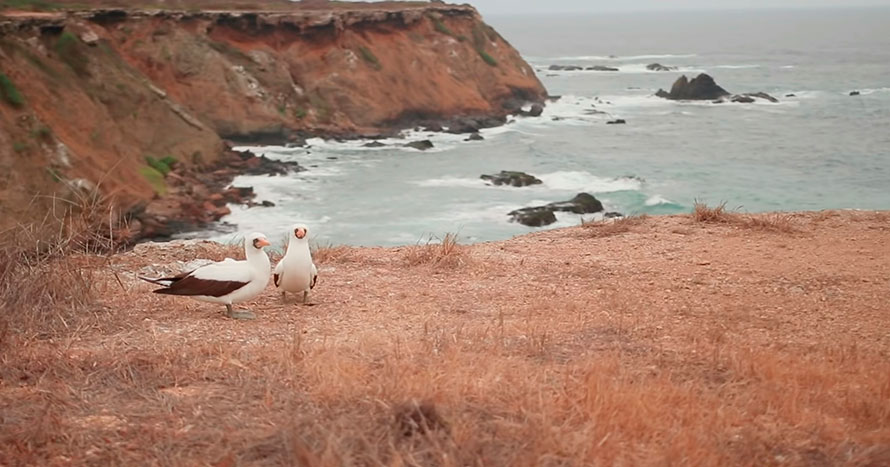 Video Isla de la Plata por Mile Broche