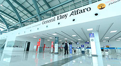 ¿HASTA CUÁNDO CON EL CUENTO DEL GALLO PELÓN?